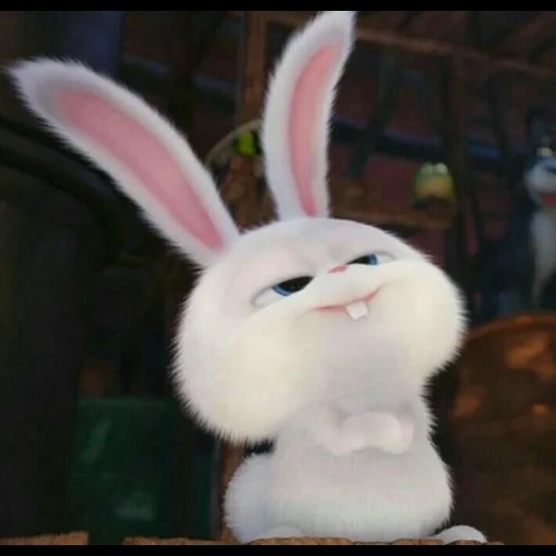 life secret life home rabbit snowball, hare branco da vida secreta de desenho animado