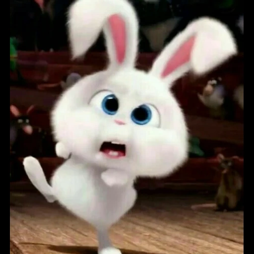rabbit snowball, secret life of pets rabbit, white bunny dari cartoon secret life, secret life of pets hare snowball, kelinci snowflow life of pets 1