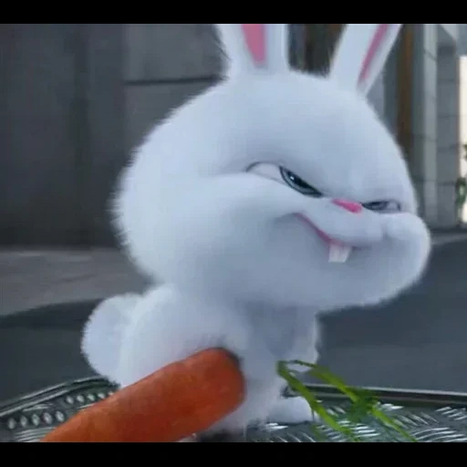 vida secreta de animais de estimação hare snowball, rabbit de bola de neve do desenho animado vida secreta, rabbit snowball, evil rabbit, rabbit frunky