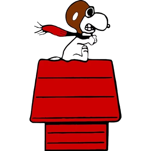 snoopy booth, snoopy's cone, snoopy drawing, snoopy flying ace, snoopy is lying in the house