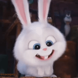 rabbit snowball, the rabbit is sweet, cartoon bunny secret life, secret life of pets hare snowball, last life of pets rabbit snowball