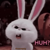 evil hare, evil bunny, evil bunny, angry rabbit, rabbit snowball