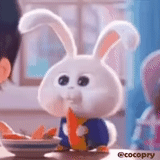 coniglio carino, coniglio palla di neve, coniglio divertente, cartone animato coniglietto palla di neve, snowball capitan secret pet life 2