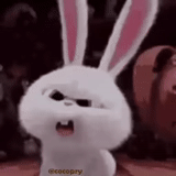 rabbit, evil bunny, angry rabbit, rabbit snowball, little life of pets rabbit