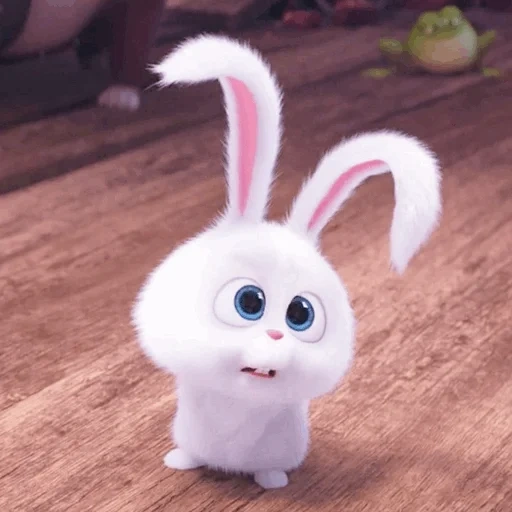 bola salju kelinci, kehidupan rahasia hewan peliharaan kelinci, sedikit kehidupan kelinci hewan peliharaan, kehidupan rahasia hewan peliharaan hare snowball, rabbit secret life of pets honey honey