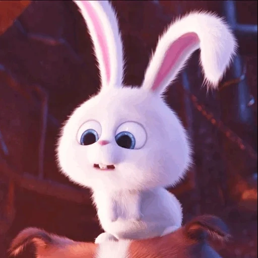 boule de neige de lapin, bunny de dessin animé, lapin snowflow life secret, cartoon bunny secret life, lapin snowball dernière vie des animaux de compagnie 1