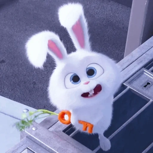 lapin, lapin en colère, le lapin du méchant, petite vie des animaux de compagnie lapin, vie secrète des animaux de compagnie hare snowball