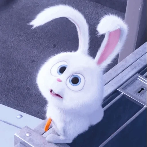 bunny, snowball di coniglio, il coniglio è dolce, coniglio bianco del cartone animato, la vita segreta degli animali domestici hare
