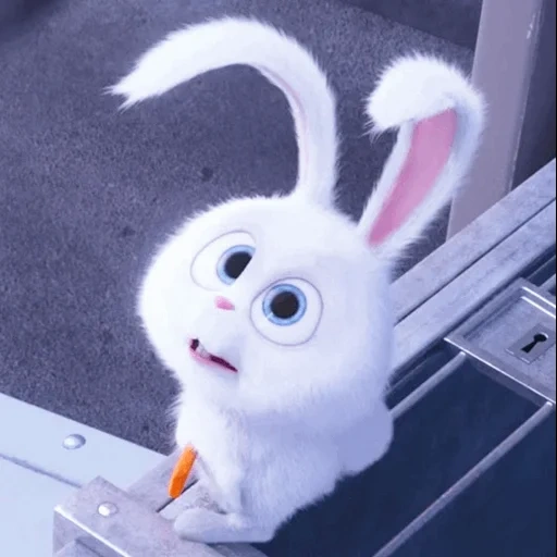 lapin, boule de neige de lapin, le lapin est doux, lapin blanc du dessin animé, la vie secrète des animaux de compagnie