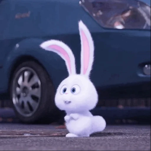 conejo, bola de nieve de conejo, el conejo es divertido, zanahorias de conejo de la caricatura, pequeña vida de mascotas conejo
