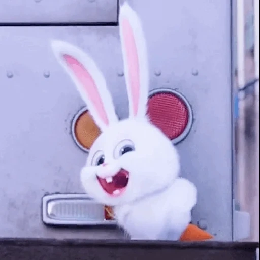 angry rabbit, banny rabbit, the secret life of pets, little life of pets rabbit, secret life of pets hare snowball