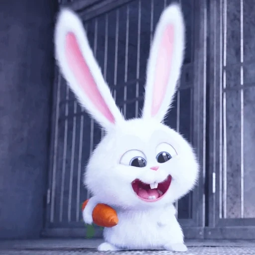 coniglio di palla di neve, secret life home rabbit snowball, little life of pets rabbit, vita segreta degli animali domestici 1 rabbit, vita segreta degli animali domestici hare snowball