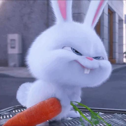 rabbit arrabbiato, snowball di coniglio, lepre cattive con le carote, little life of pets rabbit, vita segreta degli animali domestici hare snowball