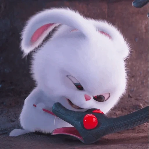 rabbit snowball, forgot your password, the rabbit is sweet, the secret life of pets is evil rabbit, secret life of pets cartoon 2016 rabbit