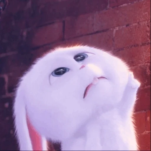 bola de nieve de conejo, dibujos animados de bola de nieve de conejo, última vida de mascotas conejo de nieve de conejo, bola de nieve de conejo la última vida de las mascotas 1, cartoon rabbit secret life of pets