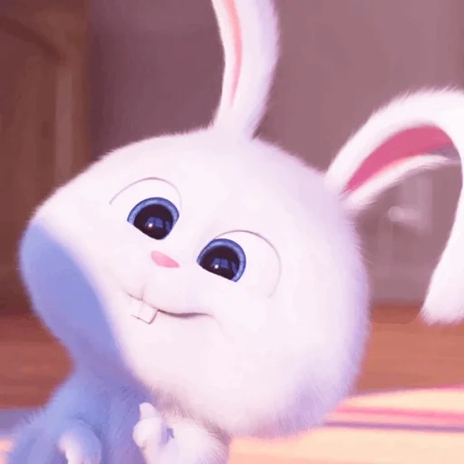 hase, kaninchen schneeball, haustiere leben rabbit, kleines leben von haustieren kaninchen, geheimes leben der haustiere hase snowball
