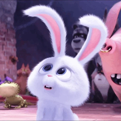 bola de nieve de conejo, liebre de la vida secreta de dibujos animados, cartoon rabbit secret life, pequeña vida de mascotas conejo, la vida secreta de las mascotas es el conejo malvado
