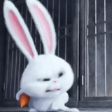 emoji, secret life pet rabbit snowball, the secret life of a pet 1 rabbit, the evil secret life of pet rabbit snowball