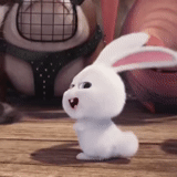 cute little rabbit, rabbit snowball, the secret life of pets, the secret life of pet rabbit, the secret life of pet rabbit snowball