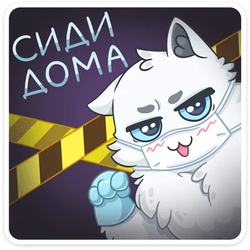snowzhik, quarantena, snowzhik cat