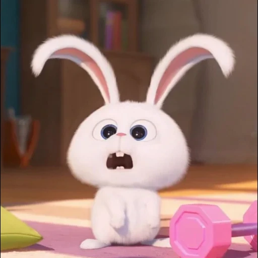 rabbit, bunny is cute, dear rabbit, rabbit snowball, cheerful rabbit