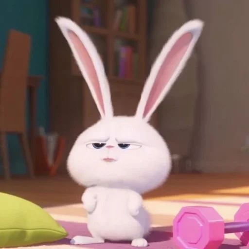 coniglio bianco, coniglio palla di neve, coniglio divertente, cartoon del coniglio, la vita segreta del coniglio domestico