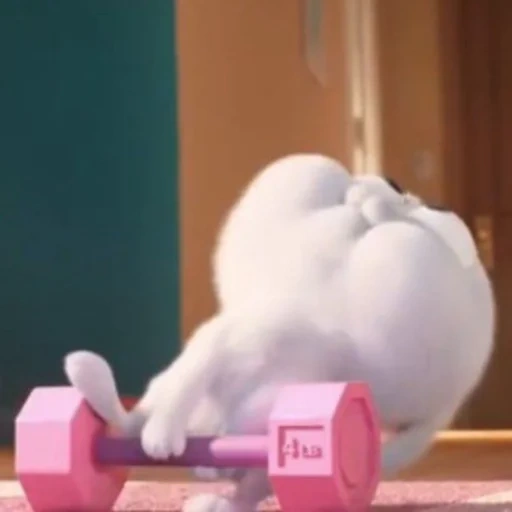 die schneeballkatze, das geheime leben, katze schneeball cartoon, das geheime leben von haustieren, das geheime leben des kaninchens haustier