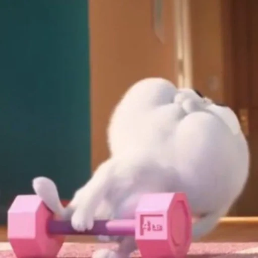 cat boule de neige, vie secrète, dessin animé de boule de neige, la vie secrète des animaux, lapin secret life of pets