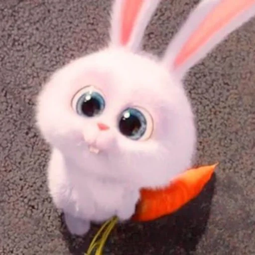 conejo malvado, solicitud de conejo, bola de nieve de conejo, conejo divertido, vida secreta del conejo mascota