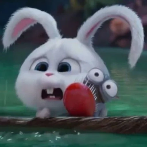 boule de neige de lapin, hare of cartoon secret life, hare of cartoon rabbit snowball, la vie secrète des animaux de compagnie, petite vie des animaux de compagnie lapin