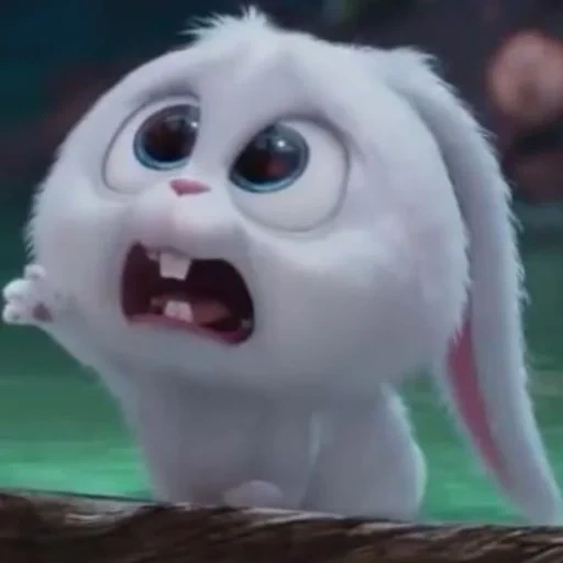 snowball cartoon, pets life rabbit, the secret life of pets, secret life of pets 2, little life of pets rabbit