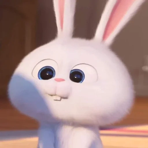 lapin doux, boule de neige de lapin, la vie secrète des animaux de compagnie, little life of pets bunny, vie secrète des animaux de compagnie hare snowball