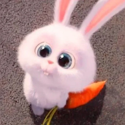 bunny, bunny asks, rabbit snowball, cheerful rabbit, little life of pets rabbit