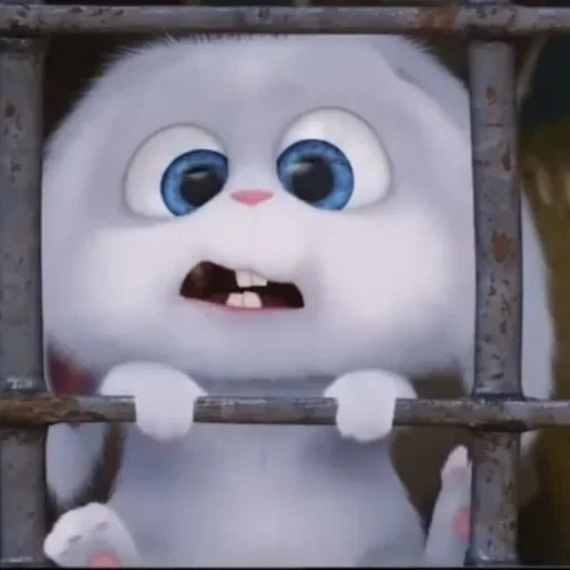 conejo de bola de nieve, el conejo es dulce, última vida de mascotas bola de nieve, última vida de mascotas conejo de nieve de conejo, bola de nieve de conejo la última vida de las mascotas 1