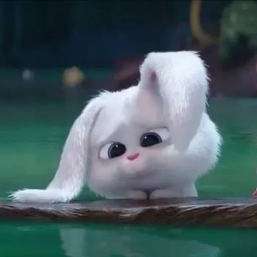 cher lapin, boule de neige de lapin, dessin animé sur le lapin, la vie secrète des animaux, dernière vie des animaux de compagnie snowball
