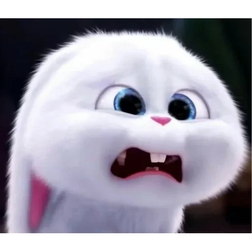 cartoons, rabbit snowball, the secret life of pets, secret life of pets hare snowball, last life of pets rabbit snowball