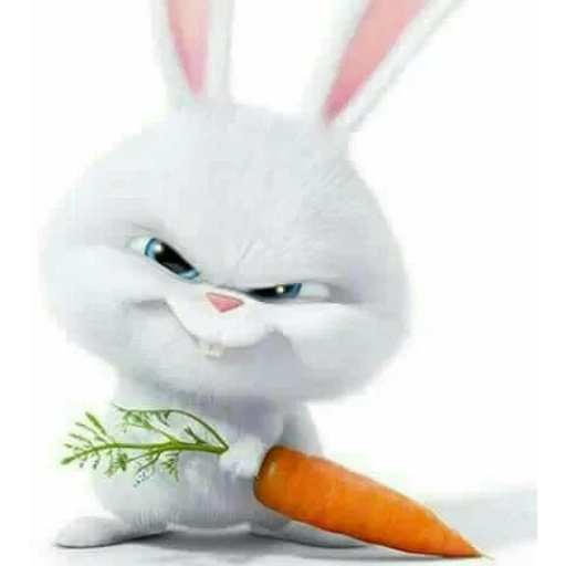 conejo mi, el conejo es blanco, bola de nieve de conejo, vida secreta de las mascotas, pequeña vida de mascotas zanahorias de conejo