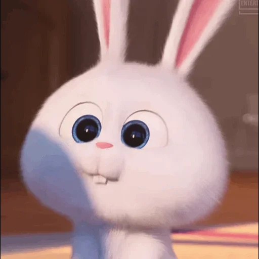 rabbit, rabbit snowball, the rabbit is funny, rabbit secret life of pets 2, secret life of pets hare snowball