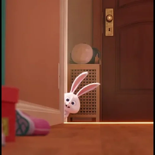 bunny, rabbit, darkness, rabbit snowball, the rabbit is funny
