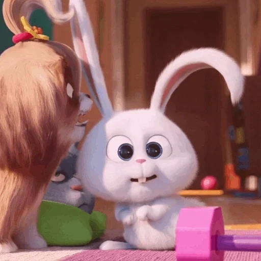 snowball rabbit, snowball rabbit, the secret life of pets, secret life of pets 2, rabbit secret life of pets honey honey