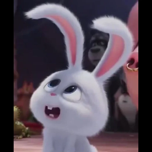 snowball di coniglio, conigli dei cartoni animati, lepre della vita segreta dei cartoni animati, la vita segreta degli animali domestici è il coniglio malvagio, rabbit snowball last life of pets 1