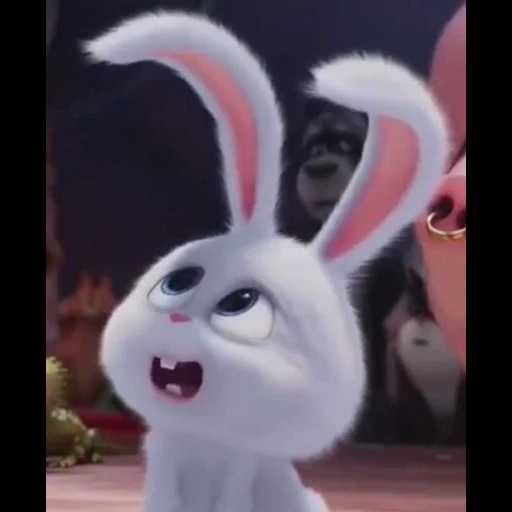 boule de neige de lapin, lapins de dessins animés, hare of cartoon secret life, la vie secrète des animaux est mal lapin, lapin snowball dernière vie des animaux de compagnie 1