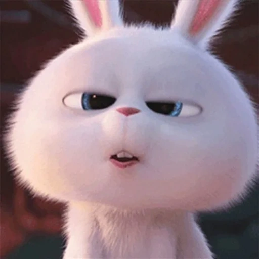 coniglio, snowball di coniglio, dolce coniglietto con i denti, la vita segreta degli animali domestici, little life of pets rabbit