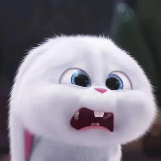 rabbit snowball, the secret life of pet rabbit, the secret life of snowball pets, pet's secret life 2 snowballs, the secret life of pet rabbit snowball