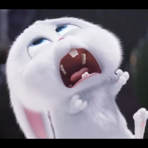 mashulya, bola de nieve de conejo, caricatura de bola de nieve, vida secreta de mascotas liebre bola de nieve, última vida de mascotas conejo de nieve de conejo