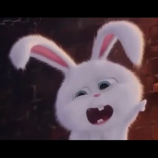 bunny, coelho bola de neve, vida secreta de desenho animado de coelho, vida secreta de bolas de neve de coelho de estimação, coelho bola de neve vida secreta animal de estimação 1