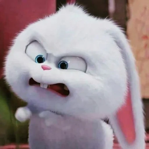 rabbit snowball, secret life of hare, the secret life of pets snowball, the secret life of snowball pets, the secret life of pet rabbit snowball