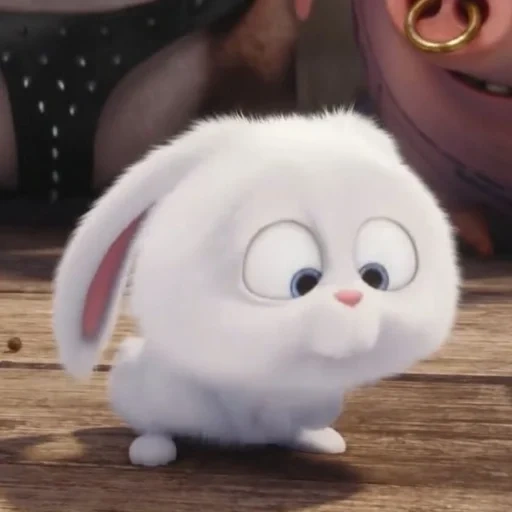 rabbit snowball, hare's secret life pet, the secret life of pet rabbit, the secret life of snowball pets, the secret life of pet rabbit snowball