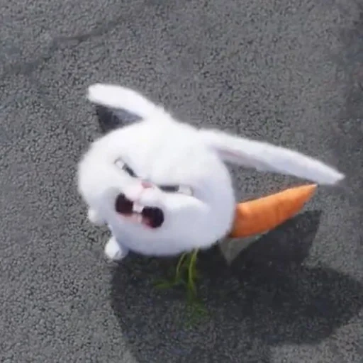 conejo malvado, conejo malvado, conejo malvado, conejo enojado, la vida secreta del conejo mascota es malvada