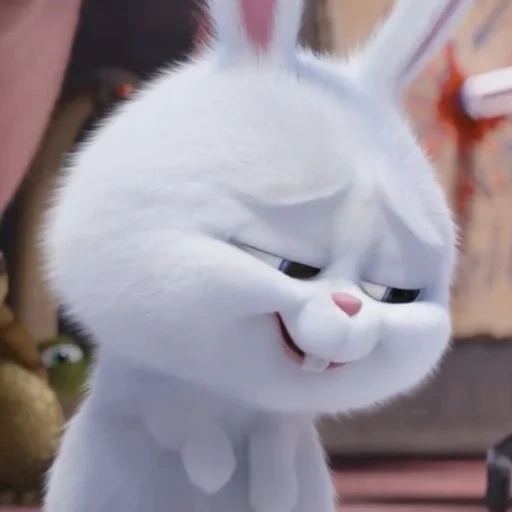 gato, conejo malvado, bunny lindo, bola de nieve de conejo, lindos dientes de conejito